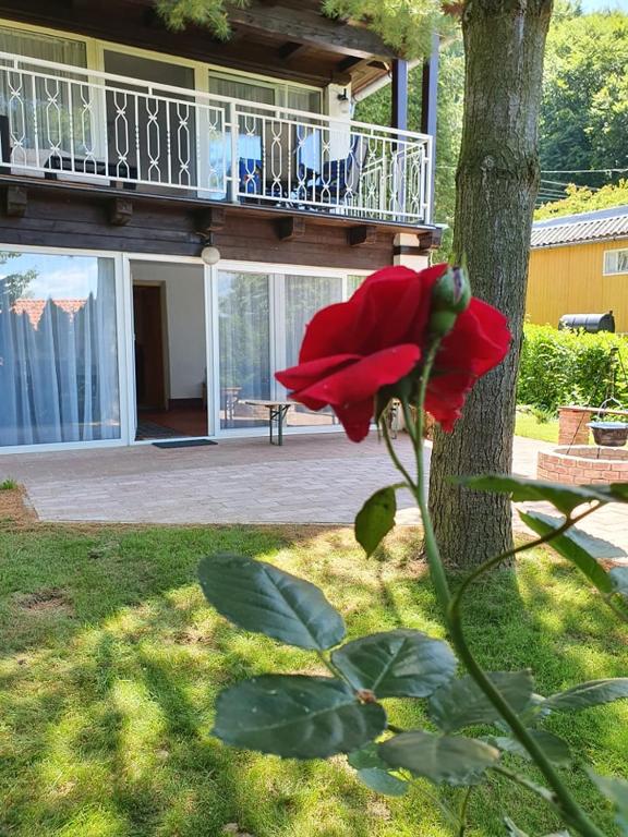 P7-Nyaraló - Ferienwohnung Magyarhertelend