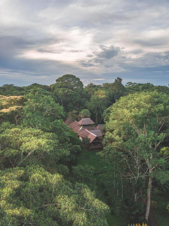 Wasai Tambopata Lodge - B&B Tambopata