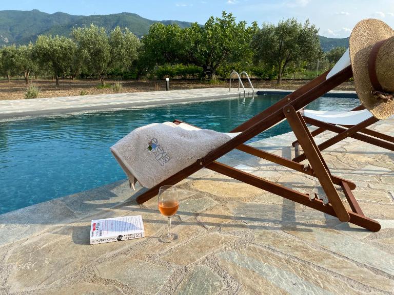 Villa Eleonas by the Sea with private pool - Bed and Breakfast Kainoúryion