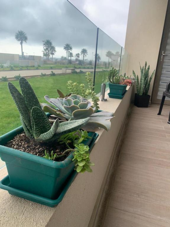 Bello departamento av del mar - B&B Coquimbo