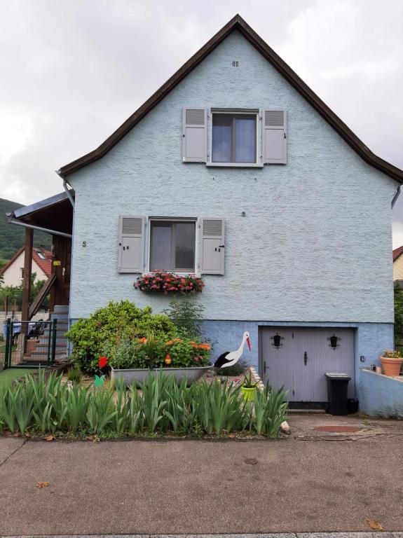 Gîte les chiwawas d'Alsace - Chambres d'hôtes Kaysersberg