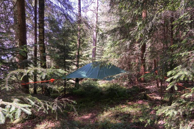 Baumzelt im Wald - B&B Regen