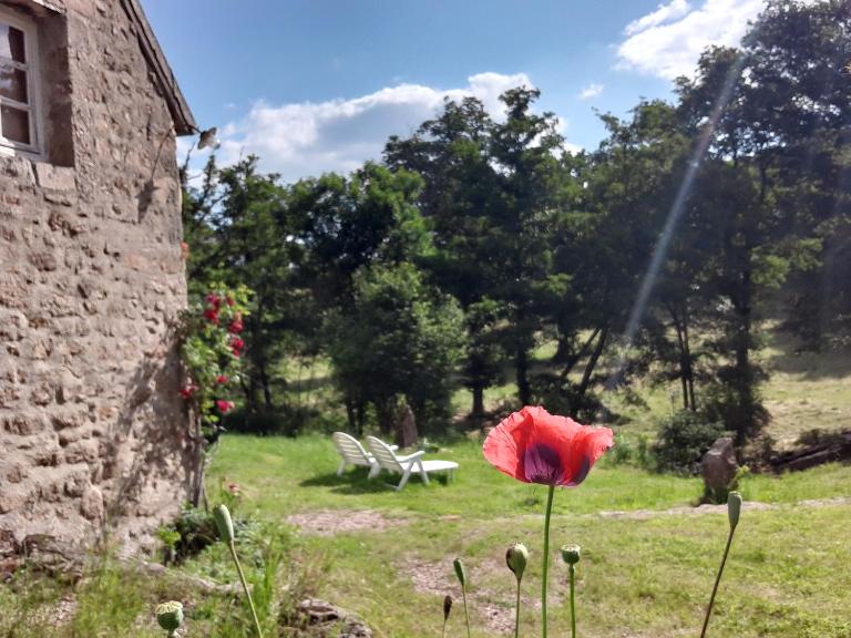 Superbe Moulin au bord d'une riviere, au calme, avec piano - Bed and Breakfast Doyet