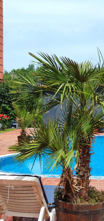 Apartament CACAO RESIDENCE - B&B Sunny Beach
