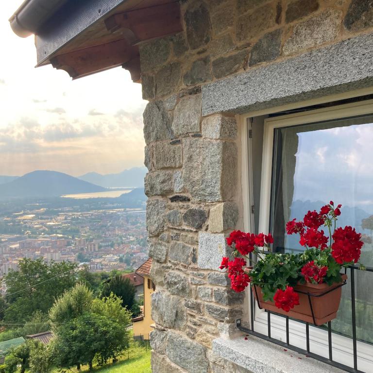 Il riccio di Ricciano - B&B Casale Corte Cerro