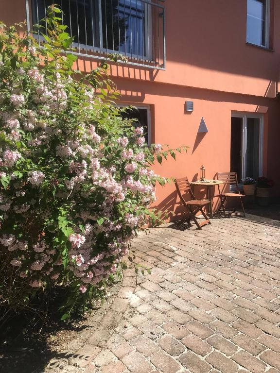 Moderne großzügige Souterrainwohnung Zarrentin Gallin Schaalsee Natur Wald Wasser - B&B Gallin