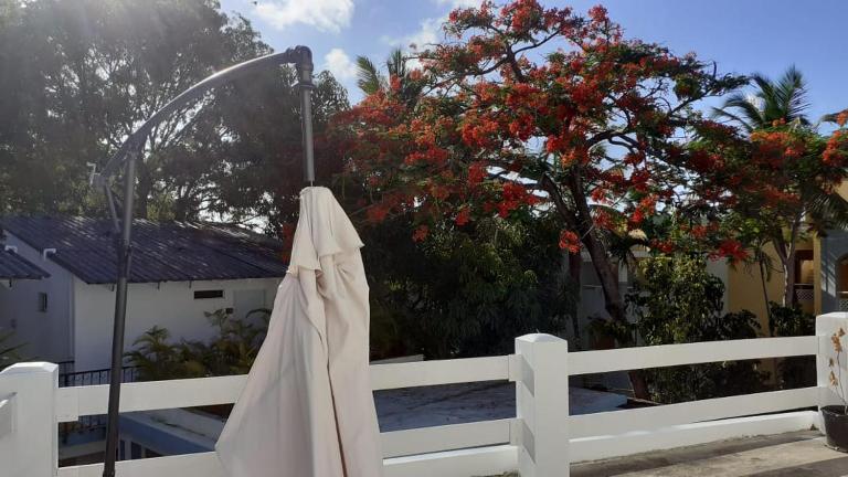 Room #23 at Waterfront Playa Alicia - B&B Sosua, Cabarete