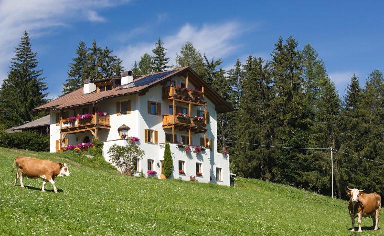 Apartments Stroblhof - Bed and Breakfast Urtijëi