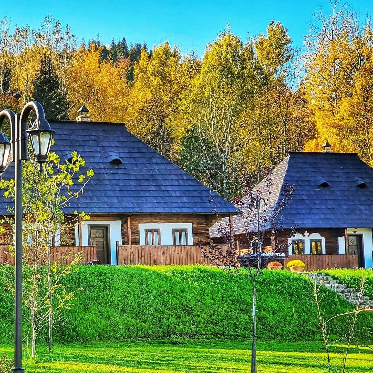 Vatra Boiereasca - Bed and Breakfast Cacica