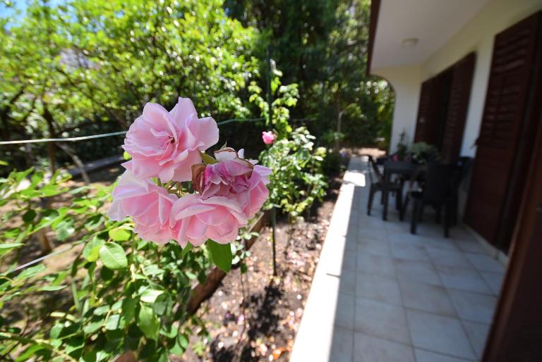 Igalo Garden Apartment - B&B Herceg Novi