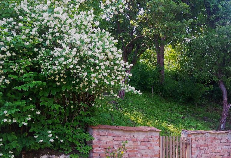 Casa Sighisoara56 - Bed and Breakfast Sighișoara