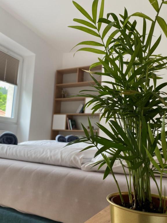 APARTAMENTY ZDROJOWA 9 - B&B Duszniki-Zdrój