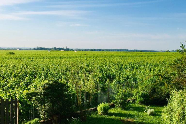 Appartement avec vue sur les vignes à Gevrey - B&B Gevrey-Chambertin