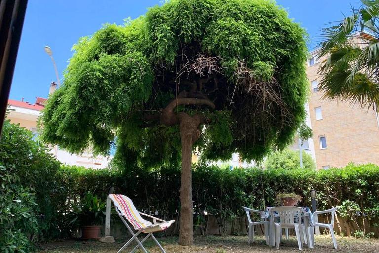 La casa del salice - Ferienwohnung Francavilla al Mare