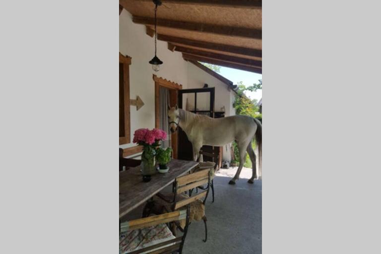 Igricz Farmház - B&B Pócsmegyer
