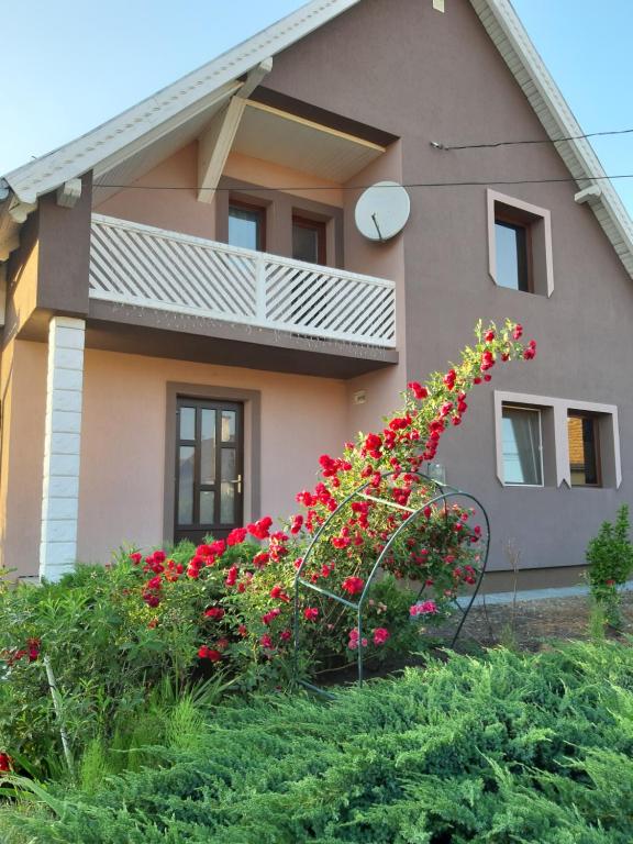 Becze Vanda kulcsosház - Bed and Breakfast Lăzarea