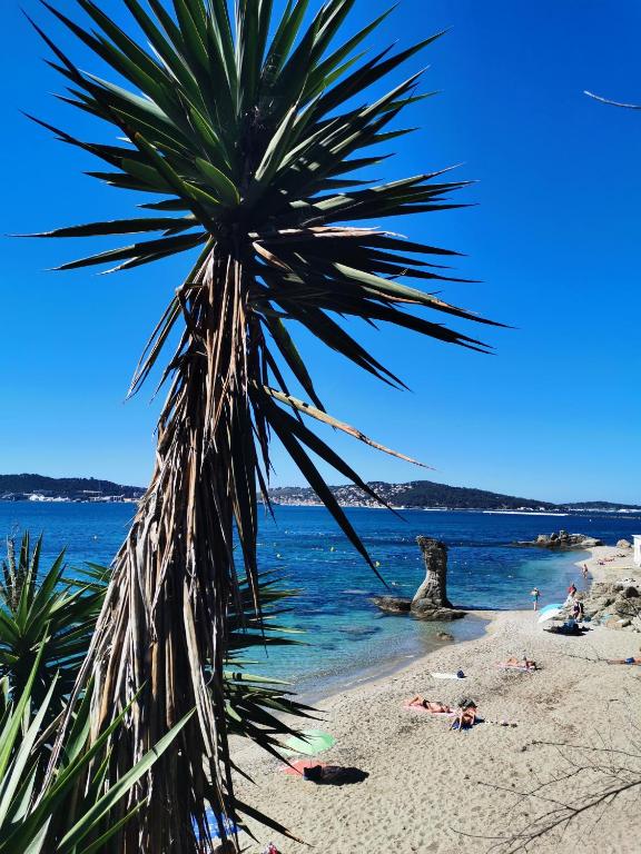 Studio avec vue - Chambres d'hôtes Toulon
