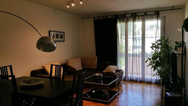Stunning Studio Apartment - Chambres d'hôtes Veyrier