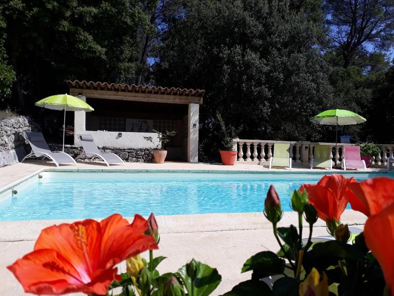 Le Mas des Hibiscus - Bed and Breakfast Trans-en-Provence