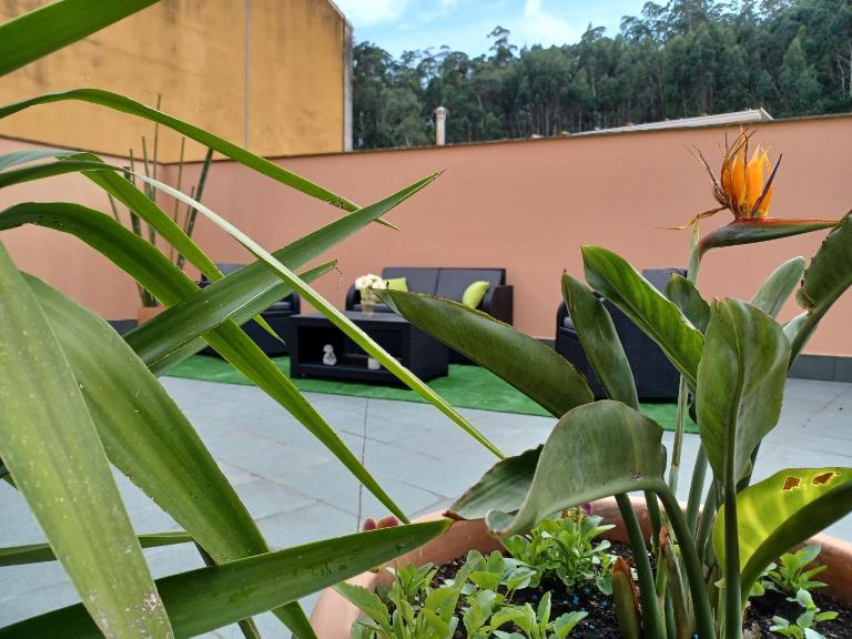 Apartamento Estela - B&B Combarro