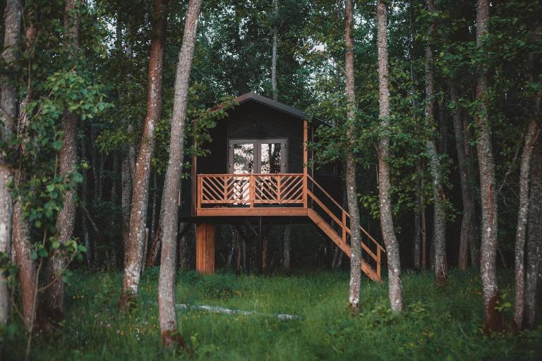 Hekso treehouse - B&B Kiriku
