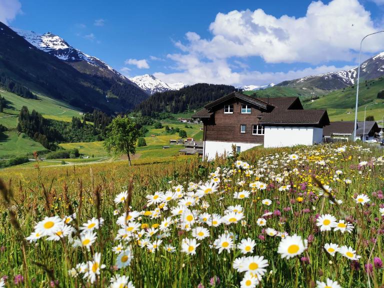 Tgèsa Dutg Grond - B&B Sedrun