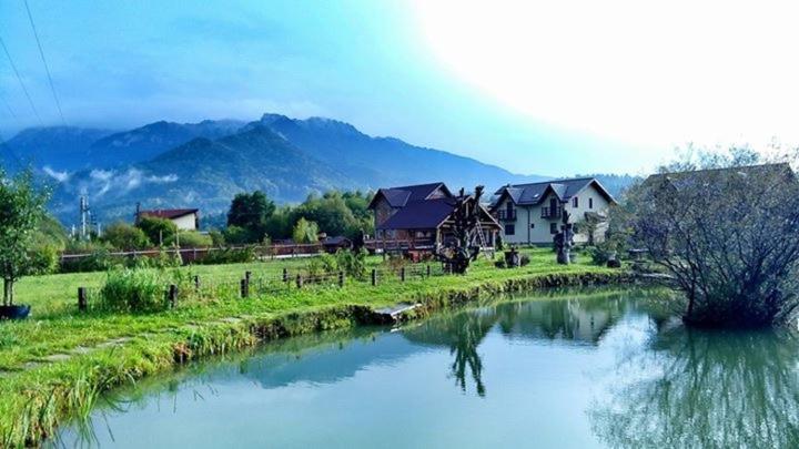 Hasienda - B&B Râşnov