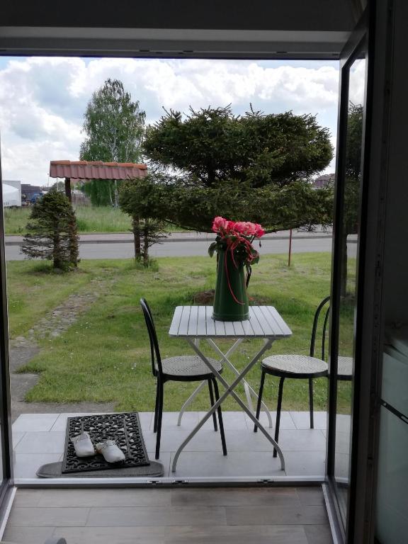BIS Studio 2osob w Lebie Blisko plaży wellness i kuchnia w ogrodzie - Chambres d'hôtes Łeba