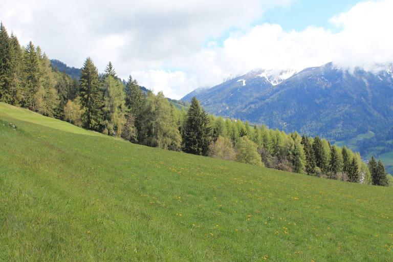 Casa Vacanze La Vite - B&B Bordogna