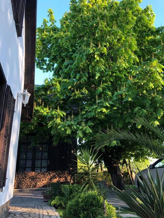 Echo Apartman - Ferienwohnung Tihany