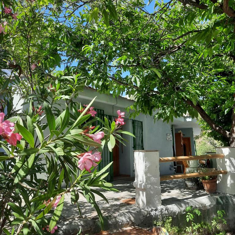 Alpujarra Guesthouse, remote off-grid mountain accommodation - B&B Cáñar