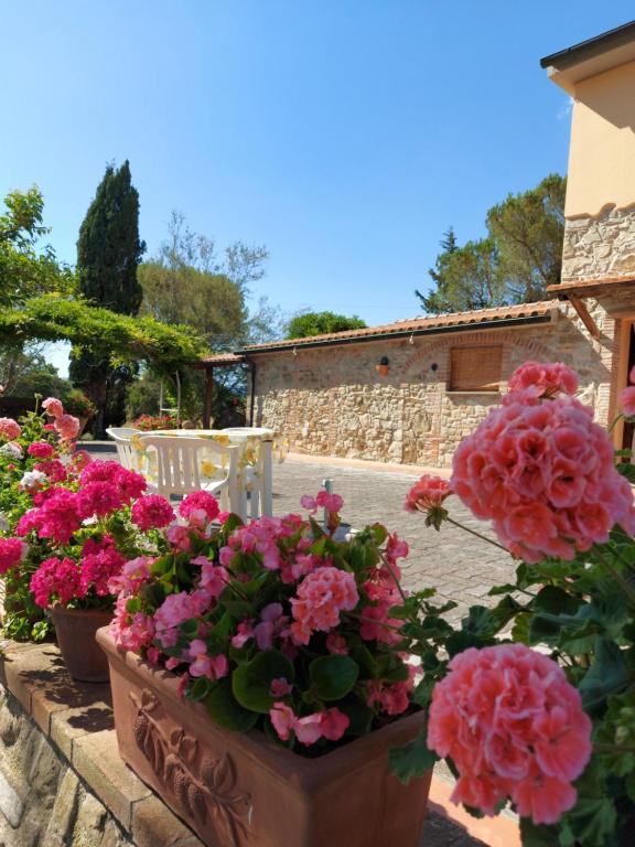 Agriturismo Mezzo Poggio Suvereto - B&B Suvereto