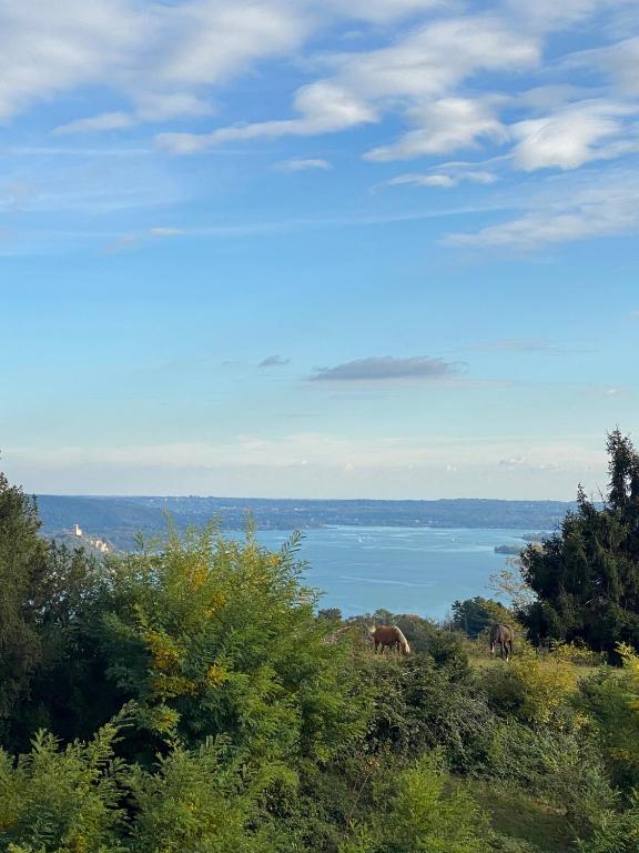 La Garçonniérre del Lago Maggiore - Ferienwohnung Nebbiuno