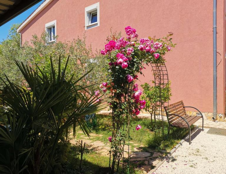 Apartments Babić - B&B Fažana