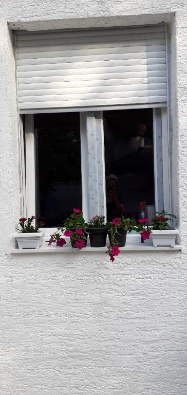 Valbona 1 - B&B Opatija