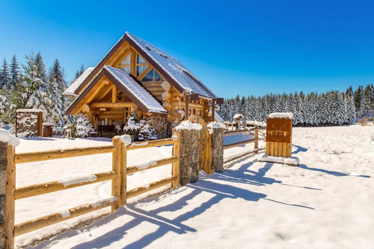 KRALJICA ŠUME - Divjake Log Home - Ferienwohnung Hlevci