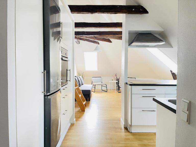 aday - City Central Mansion - 4 bedroom apartment - B&B Aalborg