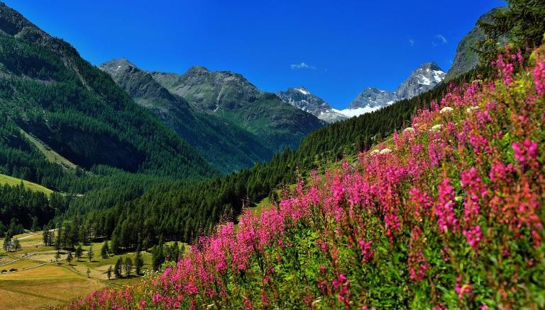 Appartamenti Edelweiss - B&B Chaudanne