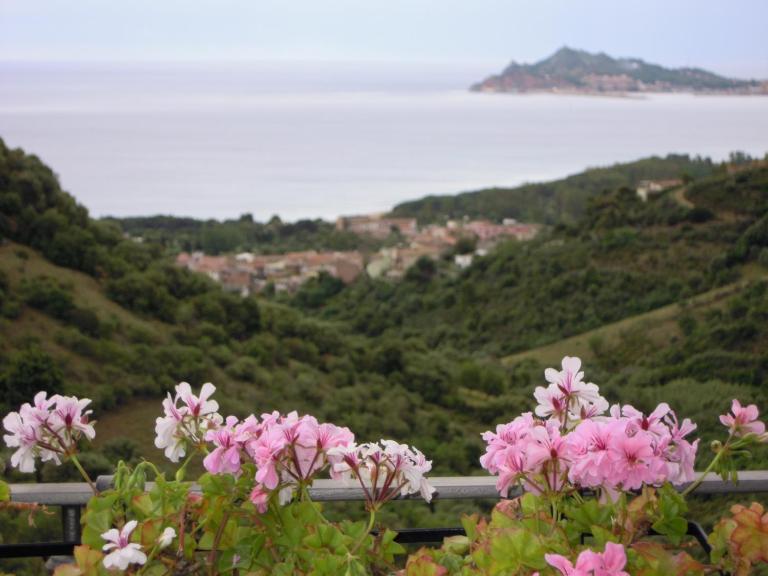Appartamenti Con Vista Panoramica - B&B Santa Maria Navarrese