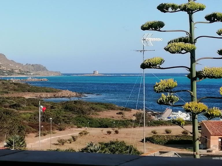 La Finestra sulla Torre - B&B Stintino
