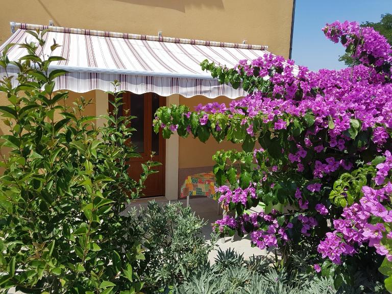 Apartman Mi - B&B Nerezine