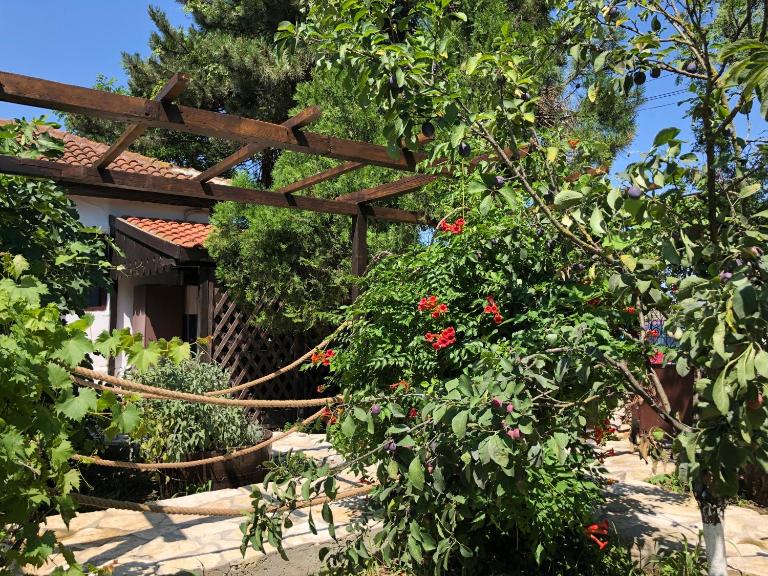 Grauri si Smochini - B&B Vadu