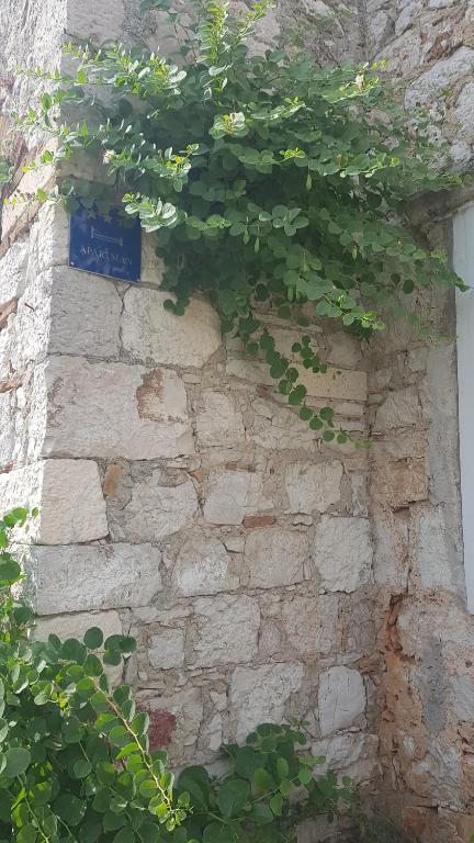 Stone house apartment in Zlarin centre - B&B Zlarin