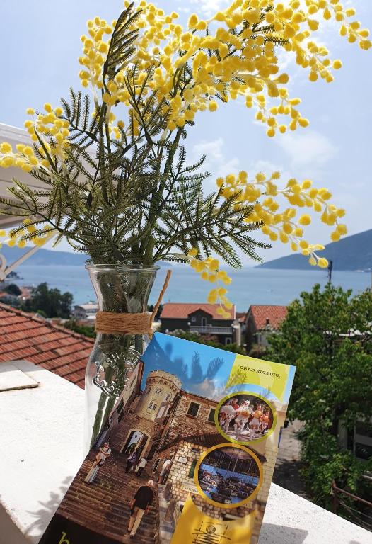 R&S Apartments - B&B Herceg Novi