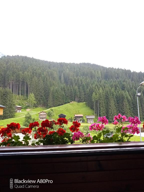 villetta bifamiliare con giardino - Bed and Breakfast San Pietro di Cadore