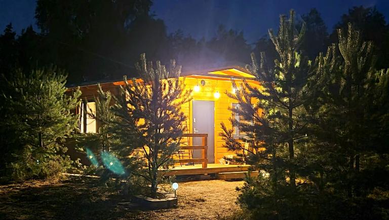 DOMKI We MGLE - Borsk - B&B Borsk