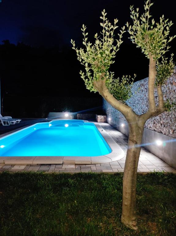 Village holiday apartman with heated pool Maslina - B&B Kostanje