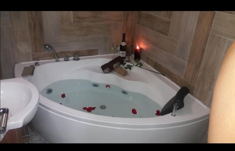 Marina Jacuzzi Apartment free parking - B&B Novi Sad