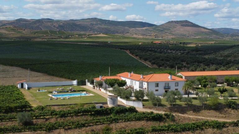 Quinta Sta Luzia Carrascal - Bed and Breakfast Vila Flor