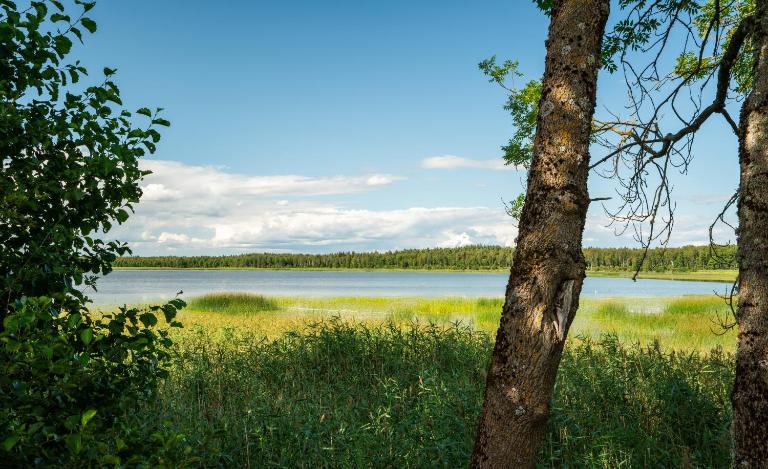 Vudila saunamaja - B&B Kaiavere